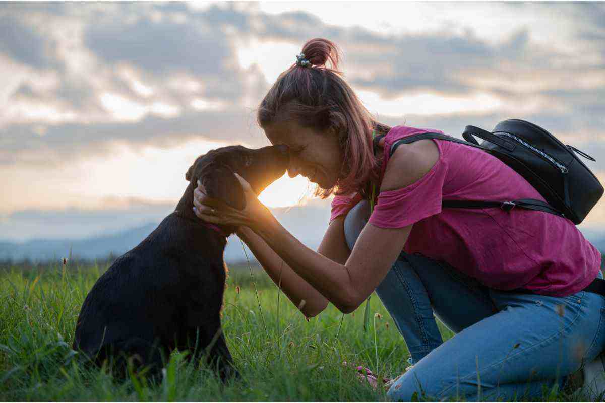 I cani ricambiano l'affetto?