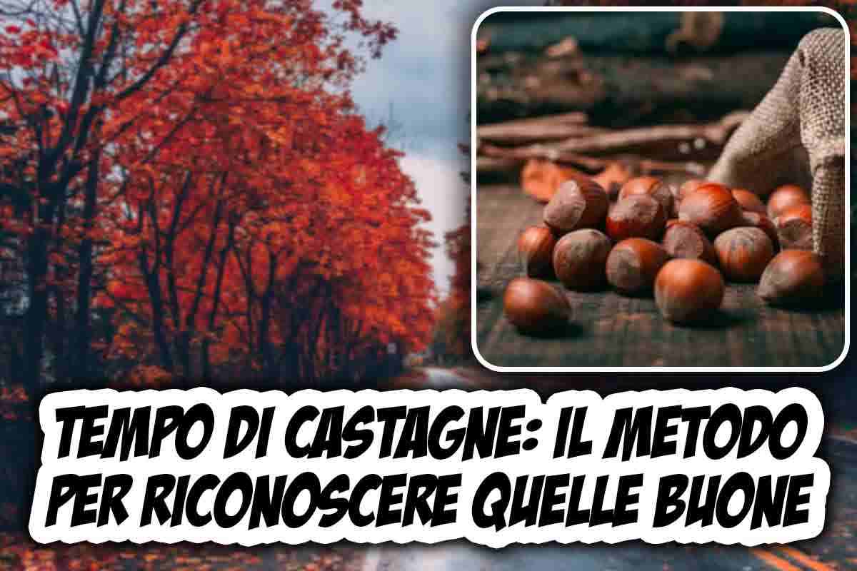 Castagne buone